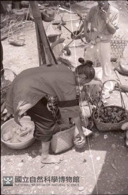 1950至2006年臺灣常民生活藏品圖，第1張