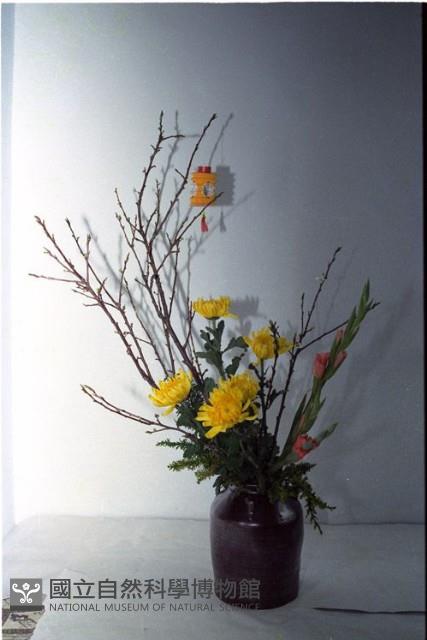 1950至2006年臺灣常民生活藏品圖，第1張