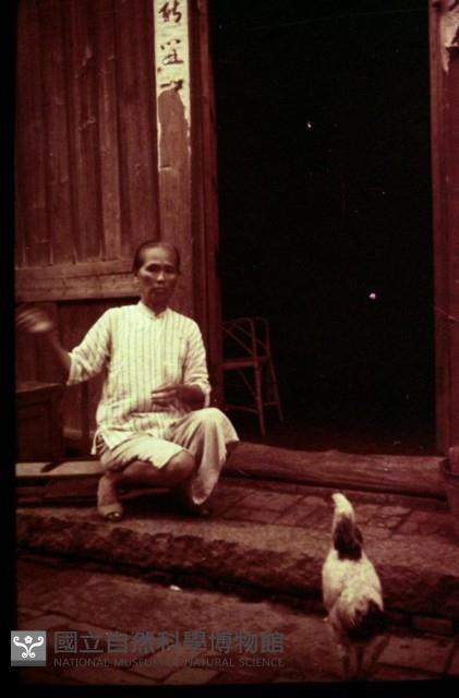 1950至2006年臺灣常民生活藏品圖，第1張