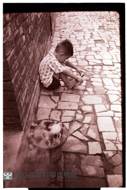 1950至2006年臺灣常民生活藏品圖，第1張