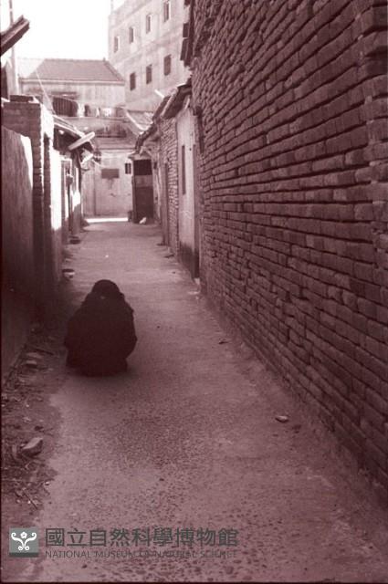 1950至2006年臺灣常民生活藏品圖，第1張