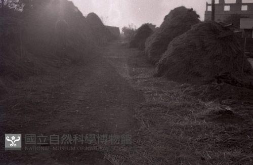 1950至2006年台灣常民生活藏品圖，第1張