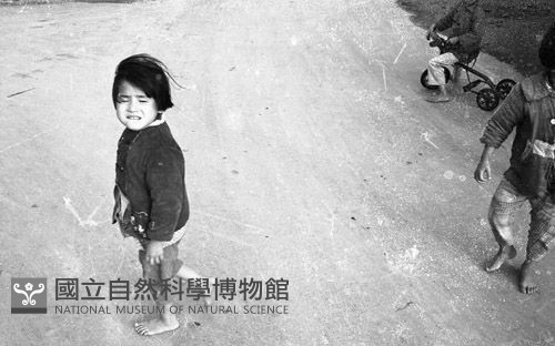 1950至2006年臺灣常民生活藏品圖，第1張