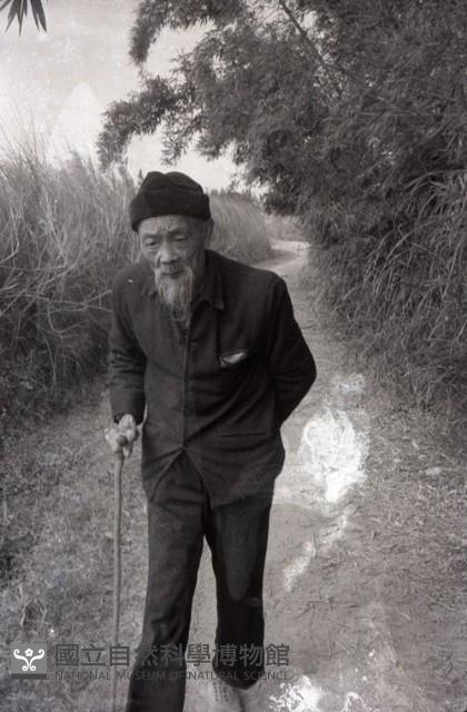 1950至2006年臺灣常民生活藏品圖，第1張