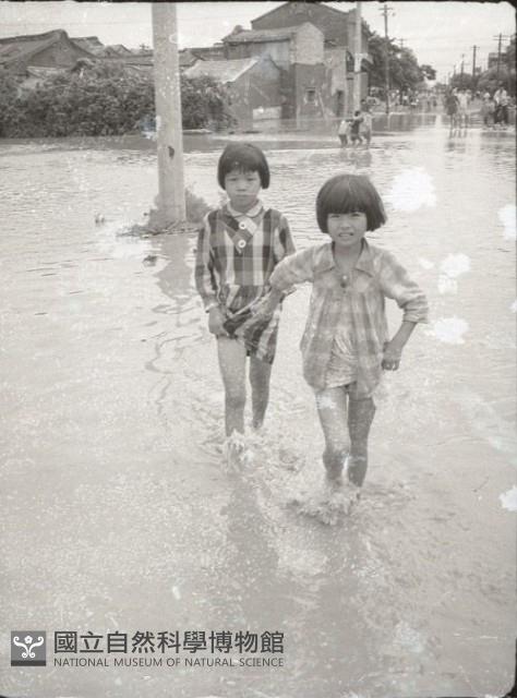 1950至2006年臺灣常民生活藏品圖，第1張