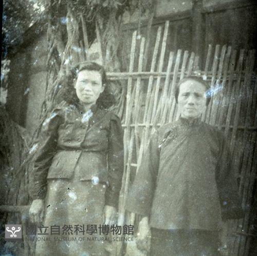 1950至2006年臺灣常民生活藏品圖，第1張