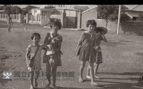 1950至2006年臺灣常民生活藏品圖，第1張