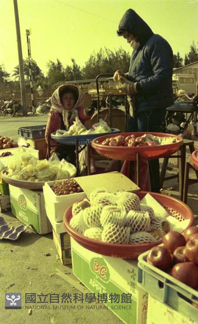 1950至2006年臺灣常民生活藏品圖，第1張