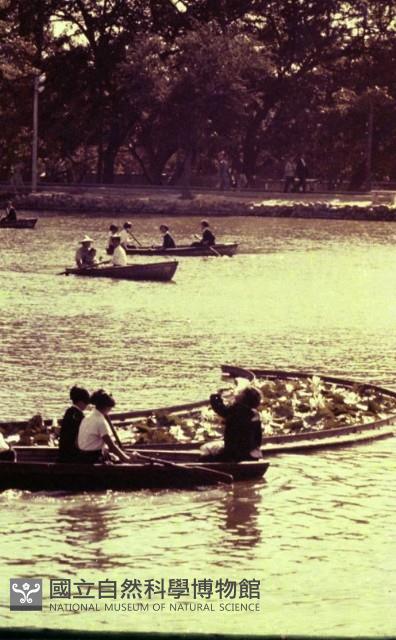 1950至2006年臺灣常民生活藏品圖，第1張