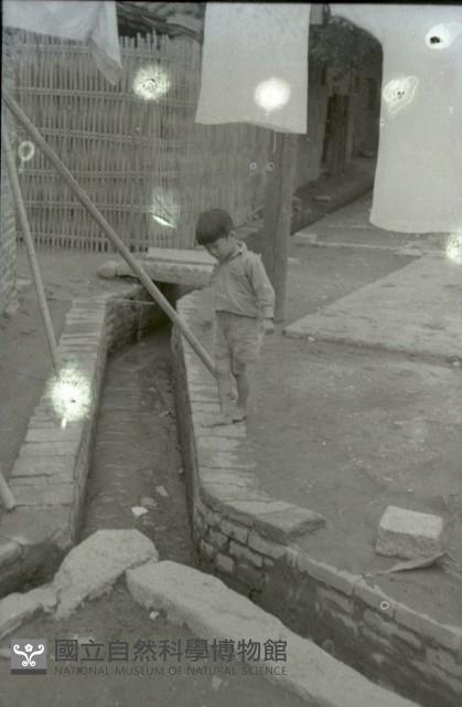 1950至2006年臺灣常民生活藏品圖，第1張