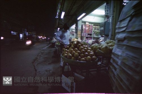 1950至2006年臺灣常民生活藏品圖，第1張