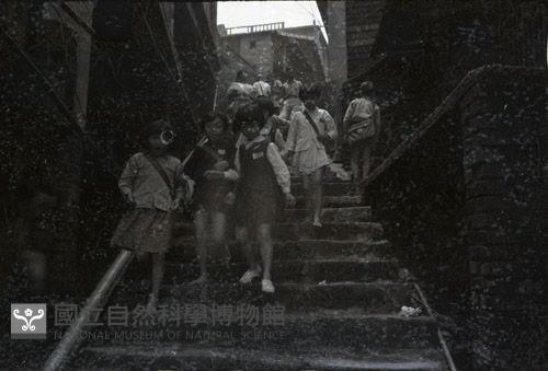 1950至2006年臺灣常民生活藏品圖，第1張