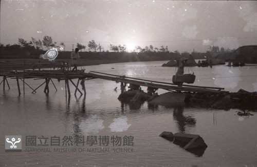 1950至2006年臺灣常民生活藏品圖，第1張