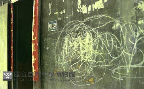 1950至2006年臺灣常民生活藏品圖，第1張