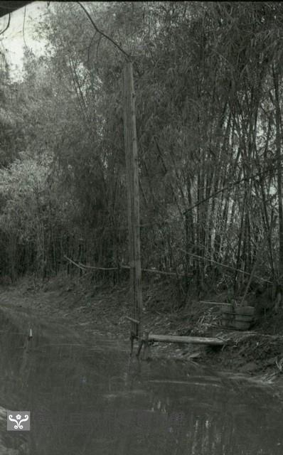 1950至2006年臺灣常民生活 藏品圖，第1張