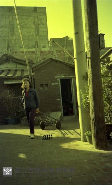 1950至2006年臺灣常民生活藏品圖，第1張