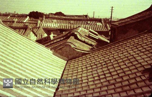 1950至2006年臺灣常民生活藏品圖，第1張
