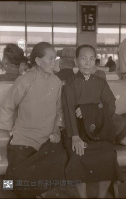 1950至2006年臺灣常民生活藏品圖，第1張