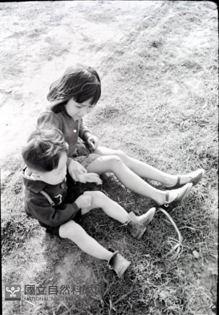 1950至2006年臺灣常民生活藏品圖，第1張