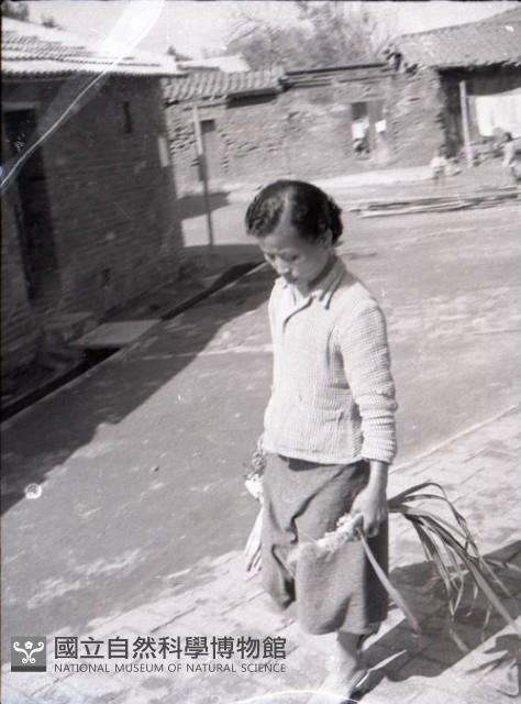 1950至2006年臺灣常民生活藏品圖，第1張