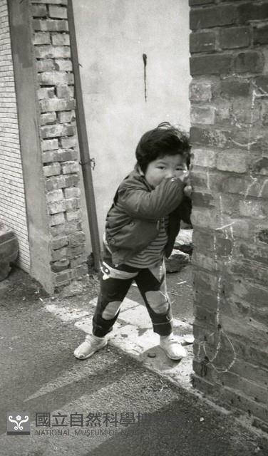 1950至2006年臺灣常民生活藏品圖，第1張