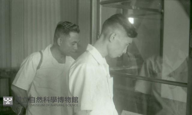 1950至2006年臺灣常民生活藏品圖，第1張
