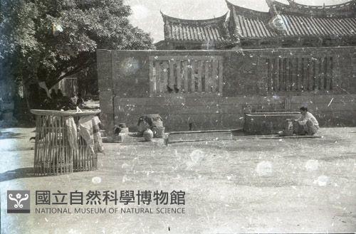 1950至2006年臺灣常民生活藏品圖，第1張