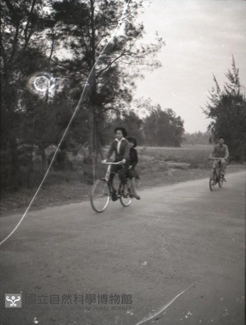 1950至2006年台灣常民生活藏品圖，第1張
