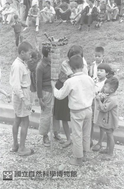 1950至2006年臺灣常民生活藏品圖，第1張