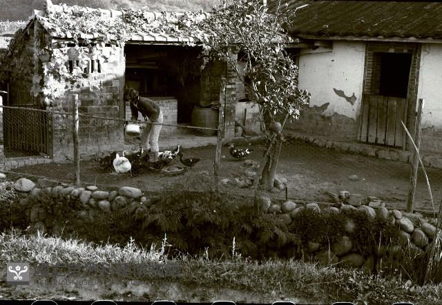 1950至2006年臺灣常民生活藏品圖，第1張