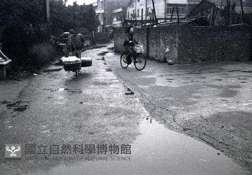 1950至2006年臺灣常民生活藏品圖，第1張