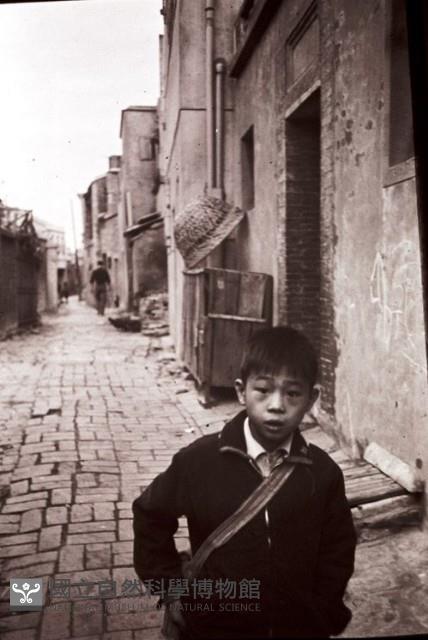 1950至2006年臺灣常民生活藏品圖，第1張