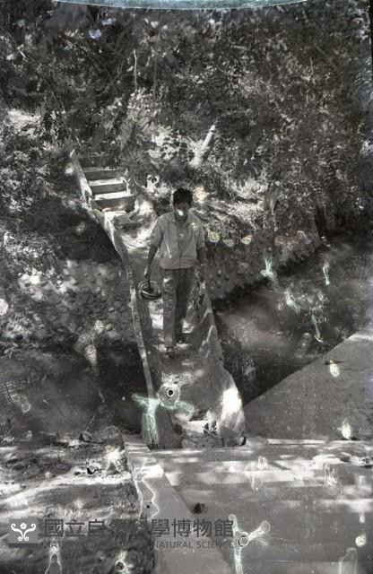 1950至2006年台灣常民生活藏品圖，第1張