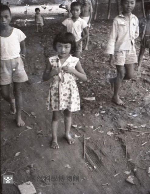 1950至2006年臺灣常民生活藏品圖，第1張