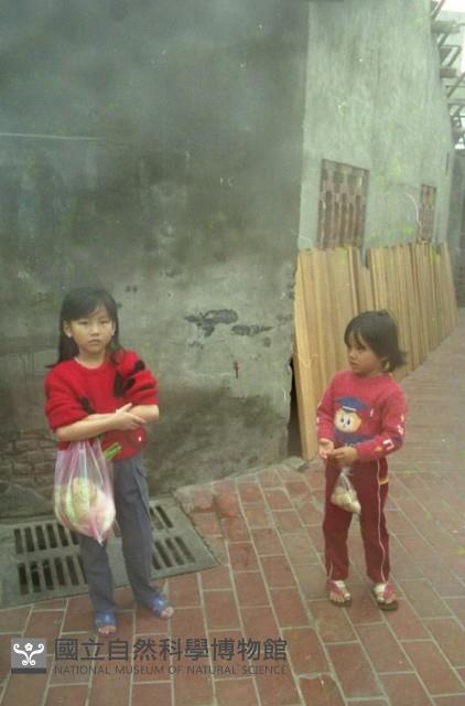 1950至2006年臺灣常民生活藏品圖，第1張