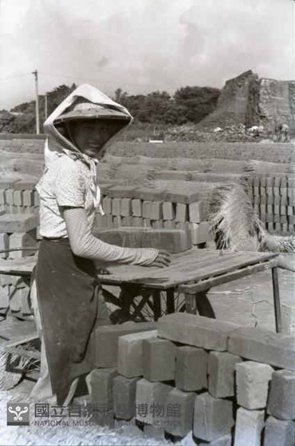 1950至2006年臺灣常民生活藏品圖，第1張