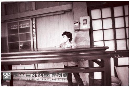 1950至2006年臺灣常民生活藏品圖，第1張