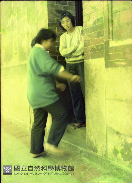 1950至2006年臺灣常民生活藏品圖，第1張