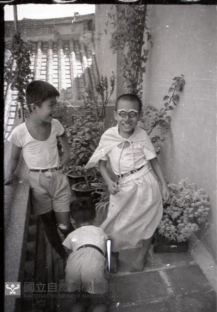 1950至2006年台灣常民生活藏品圖，第1張