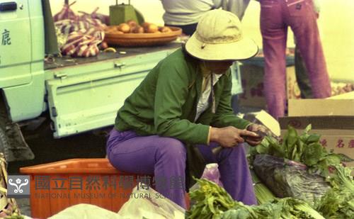 1950至2006年臺灣常民生活藏品圖，第1張