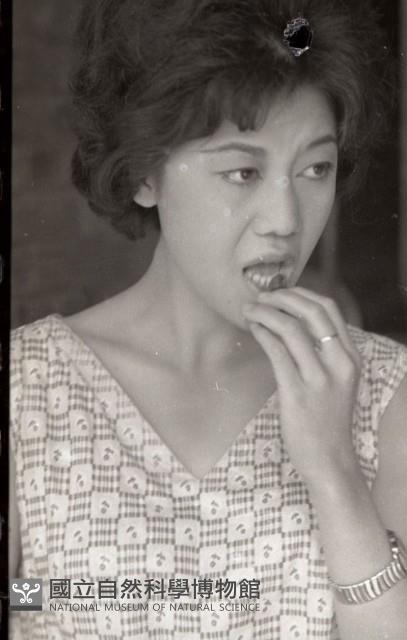 1950至2006年臺灣常民生活 藏品圖，第1張