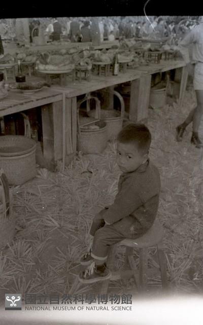 1950至2006年臺灣常民生活藏品圖，第1張