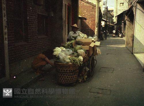 1950至2006年臺灣常民生活藏品圖，第1張