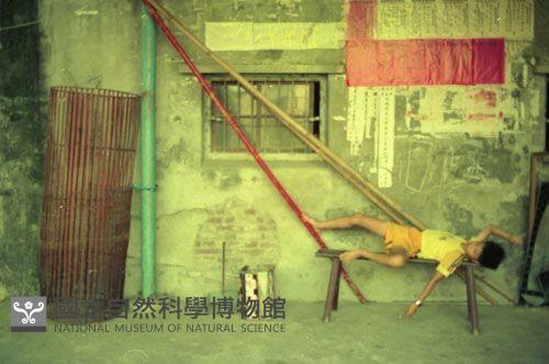 1950至2006年臺灣常民生活藏品圖，第1張