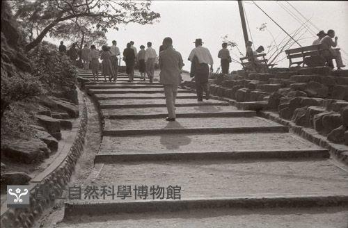 1950至2006年臺灣常民生活藏品圖，第1張