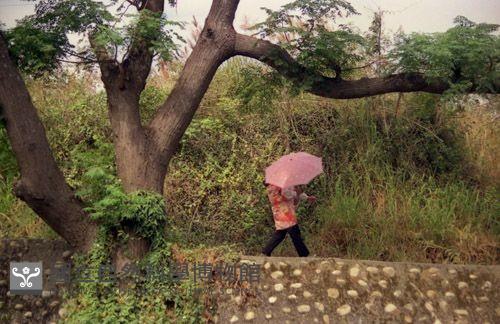 1950至2006年臺灣常民生活藏品圖，第1張