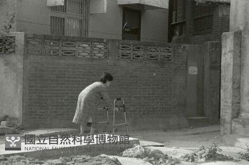 1950至2006年臺灣常民生活藏品圖，第1張