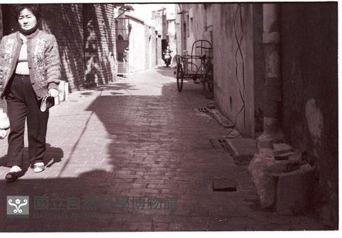 1950至2006年臺灣常民生活藏品圖，第1張