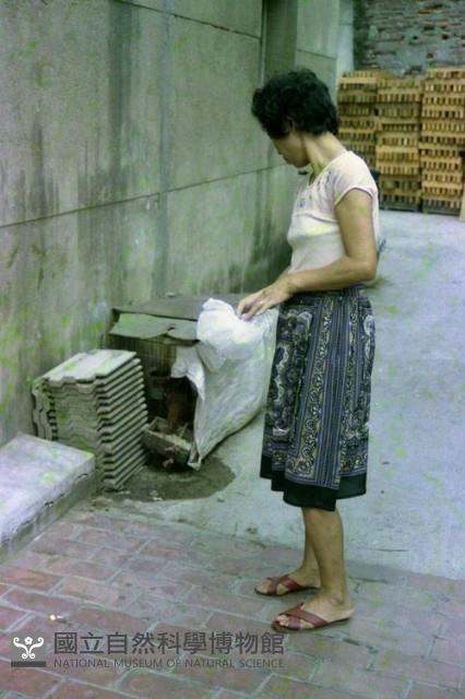 1950至2006年臺灣常民生活藏品圖，第1張