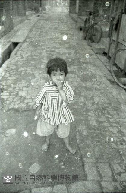1950至2006年臺灣常民生活藏品圖，第1張